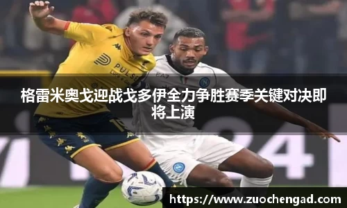 bsports必一体育